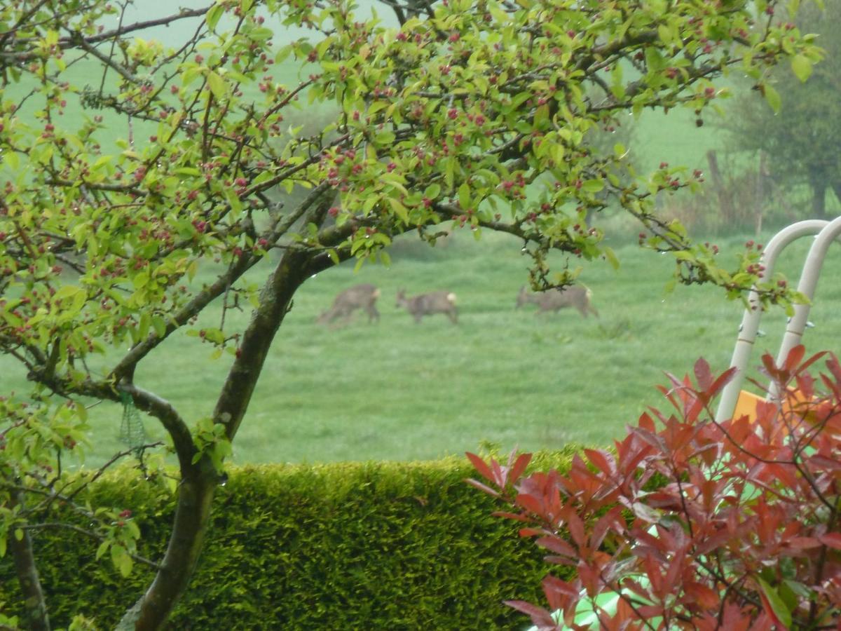 Nature Et Plage Bed & Breakfast Audembert Exterior photo